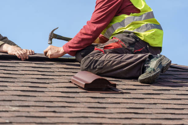 Best Metal Roofing Contractor  in Westby, WI