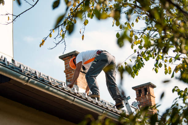 Best Metal Roofing Contractor  in Westby, WI