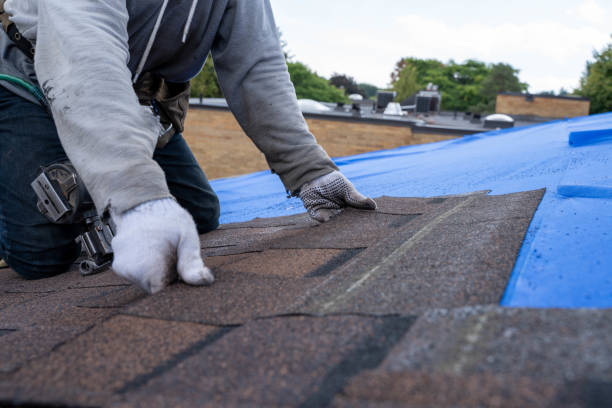 Best New Roof Installation  in Westby, WI