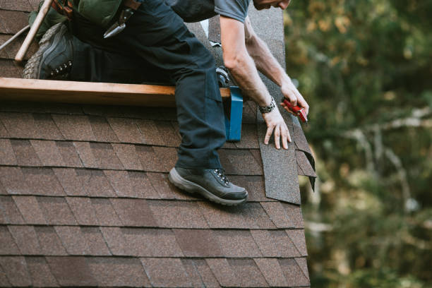 Best Roof Gutter Cleaning  in Westby, WI